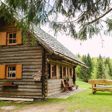 Villa Wood House Irena-Pocitniska Hisa à Bohinj Extérieur photo