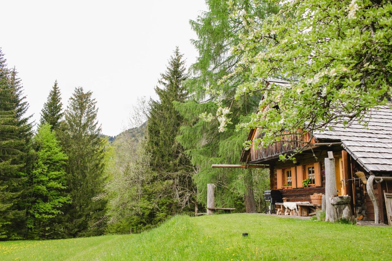 Villa Wood House Irena-Pocitniska Hisa à Bohinj Extérieur photo